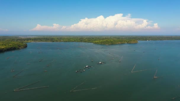 Denizde Büyüyen Balıklarla Ilgili Çiftlik Manzarası Balık Çiftliğindeki Kafesler Filipinler — Stok video