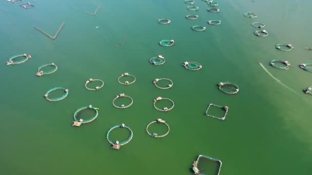 Aerial View Auto Feeding Fish Farming Broedeenheid Van Zeebaars Zeebrasem — Stockvideo