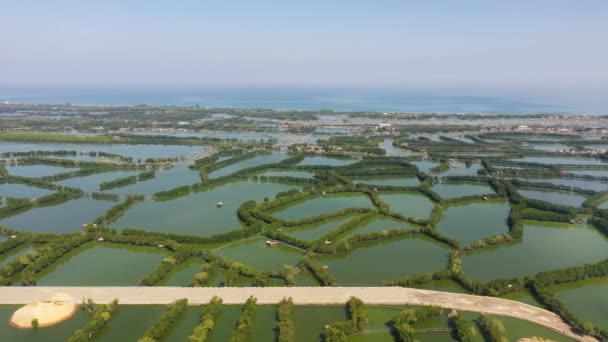 フィリピンの田舎にある魚池農場の空中ドローン — ストック動画
