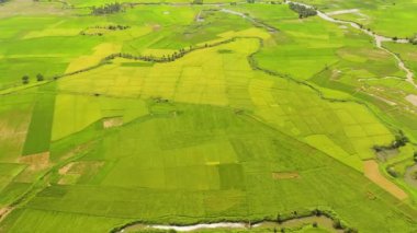 Aerial view of Agricultural landscape with rice plantations and farmland. Philippines.