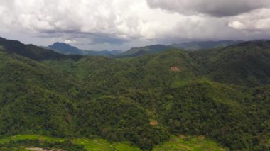 Green rainforest and jungle in the mountains of Philippines view from above.