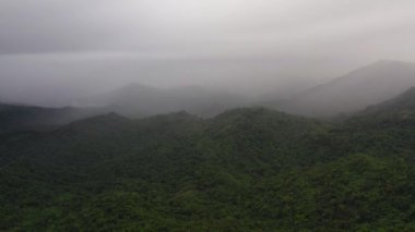 Yağmur ormanı ve bulutlu dağların havadan görünüşü. Filipinler.