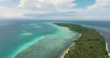 Plajlı ve palmiye ağaçlı tropik adanın havadan görünüşü. Canabungan Adası, Balabac, Palawan. Filipinler.