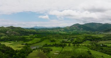 Tarım arazisi ve yeşil ormanlı dağların havadan görünüşü. Filipinler.