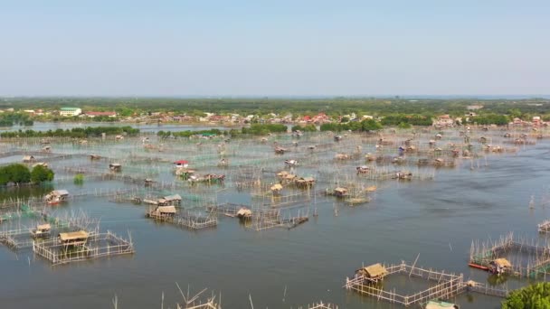 バンガスの魚池 ミルクフィッシュ 養殖業や養殖業 フィリピン ルソン島 — ストック動画