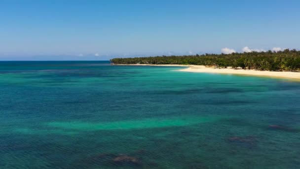 Vista Aérea Playa Tropical Con Palmeras Pagudpud Ilocos Norte Filipinas — Vídeo de stock