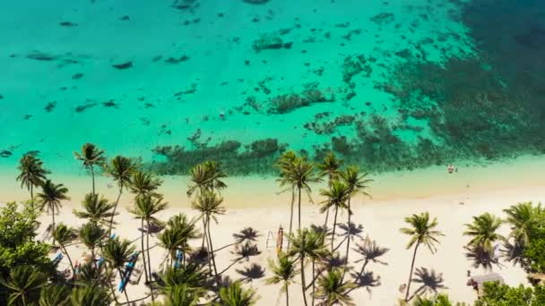 Tropischer Strand Mit Palmen Und Blauem Lagunenwasser Aus Der Luft — Stockvideo