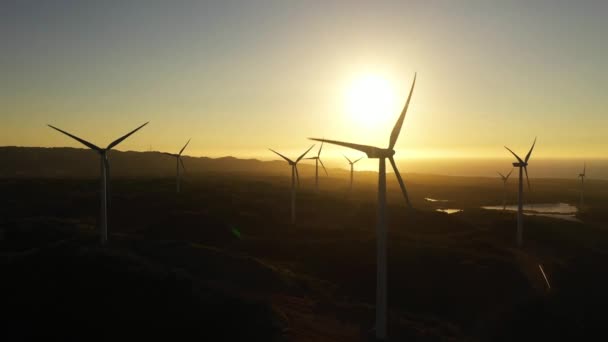 Rüzgar Çiftliği Nin Hava Aracı Gün Batımında Deniz Kıyısında Rüzgar — Stok video