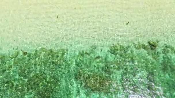 Prachtig Zee Landschap Strand Met Turquoise Water Zeeskyline — Stockvideo