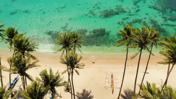 Top View Beautiful Sandy Beach Palm Trees Sea Surf Waves — Stock Video
