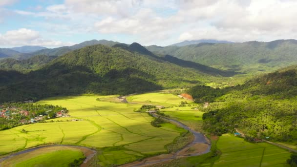 Vista Superior Montanhas Com Florestas Verdes Terras Agrícolas Com Plantações — Vídeo de Stock