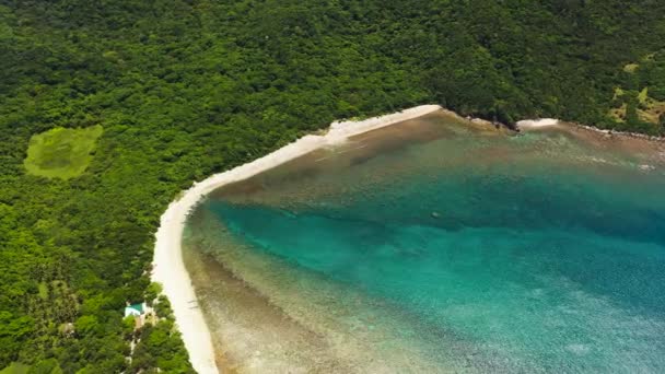 Ilha Com Praia Floresta Tropical Cabo Engano Ilha Palaui Santa — Vídeo de Stock