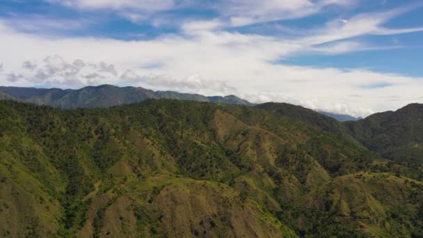 Lotnicze Drony Tarasów Ryżowych Gruntów Rolnych Zboczach Gór Filipiny Luzon — Wideo stockowe