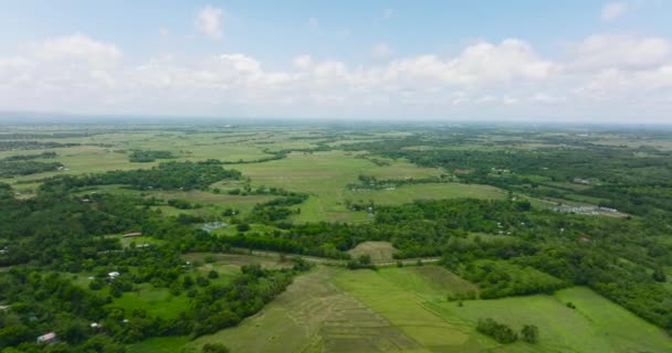 Aerial View Rice Fields Agricultural Land Philippines — Stock Video