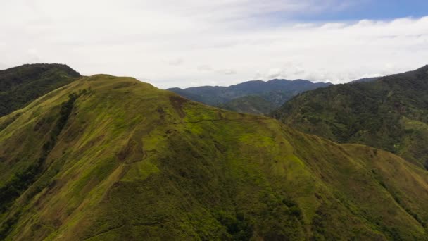 有热带植被的山坡 菲律宾 — 图库视频影像