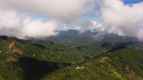 Bergstoppar Täckta Med Skog Ovanifrån Filippinerna — Stockvideo