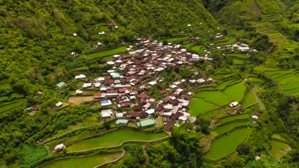 Top Uitzicht Het Dorp Tussen Rijstterrassen Velden Bergen Filippijnen Luzon — Stockvideo
