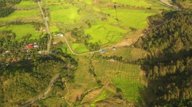 Tarım arazisi ve yeşil ormanlı dağların havadan görünüşü. Filipinler.