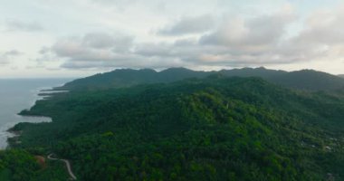 Balabac Adası kıyılarının havadan görüntüsü. Yağmur ormanları ve ormanları olan tropik bir ada. Palawan 'da. Filipinler.