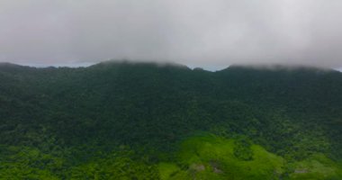 Adanın hava aracı tropikal orman ve ormanla kaplıdır. Balabac, Palawan. Filipinler.