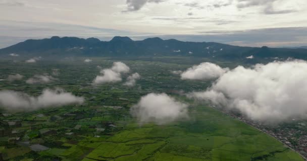 Légi Kilátás Völgy Teaültetvényekkel Termőföld Felhőkkel Kayu Aro Szumátra Indonézia — Stock videók