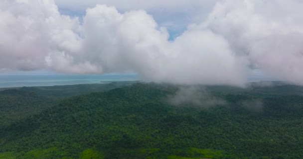 Het Eiland Bedekt Met Tropisch Bos Jungle Balabac Palawan Filippijnen — Stockvideo