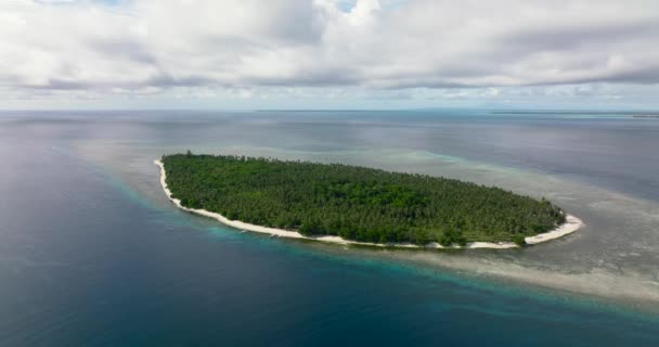 Widok Lotu Ptaka Tropikalną Wyspę Błękitnym Morzu Rafą Koralową Plażą — Wideo stockowe