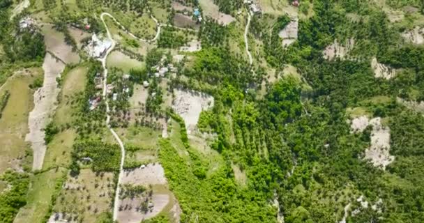 Вид Повітря Тропічний Гірський Ландшафт Пальмами Лісом Острів Себу Філіппіни — стокове відео