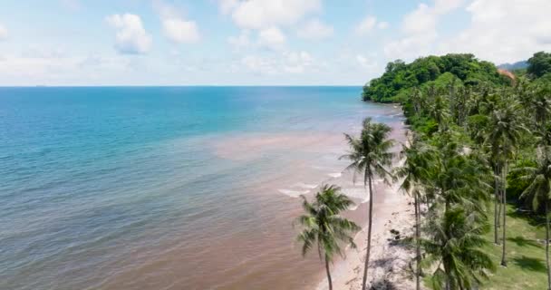 Tropik Bir Ada Olan Balabac Mavi Denizin Kıyısındaki Palmiye Ağaçlarının — Stok video