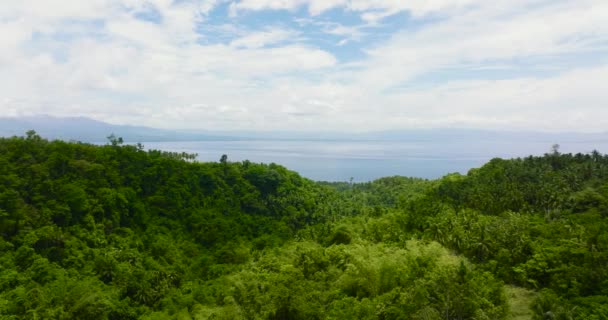 ジャングルや熱帯雨林から海への眺め フィリピンのセブ — ストック動画