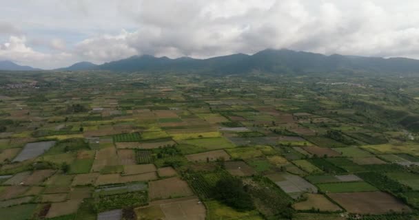 Sumatra Nın Kırsal Kesimindeki Tarım Arazileri Berastagi Endonezya — Stok video