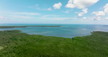 Aerial view of rainforest and jungle on the coast of the island. Balabac, Palawan. Philippines.