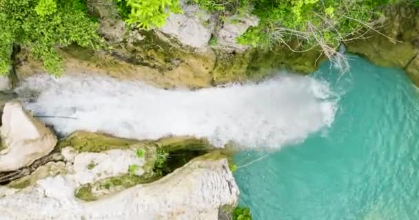 トロピカルジャングルの滝のトップビュー 緑の植物と木 インバンカン滝 フィリピン — ストック動画