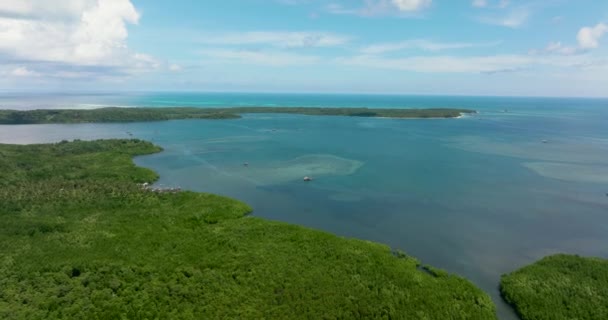 热带岛屿 有丛林和蓝色的海 热带地区的海景 巴拉巴 巴拉望 菲律宾 — 图库视频影像
