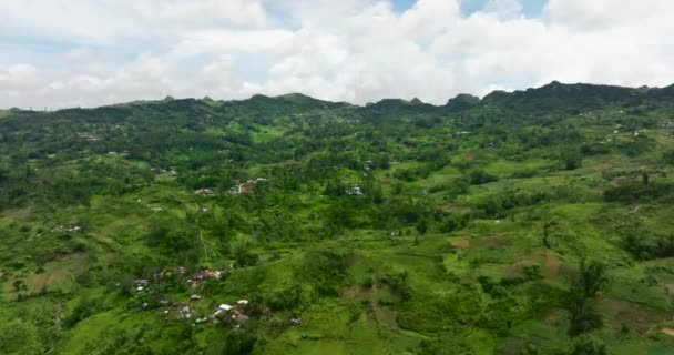 Tierras Agrícolas Plantas Cultivadas Una Zona Montañosa Isla Cebú Filipinas — Vídeo de stock