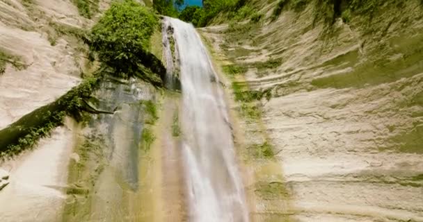 一个美丽的瀑布落在丛林中的山中 刀瀑布 菲律宾宿务 — 图库视频影像