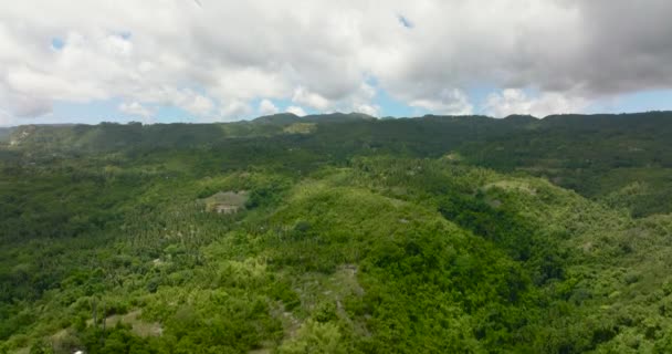 Luchtfoto Van Tropisch Berglandschap Met Palmbomen Bos Cebu Eiland Filippijnen — Stockvideo