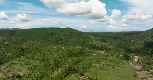 Terreno Agrícola Con Plantaciones Sobre Fondo Montañas Cielo Azul Isla — Vídeo de stock
