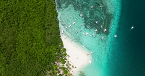 Island Beautiful Beach Palm Trees Virgin Island Philippines — Stock Video