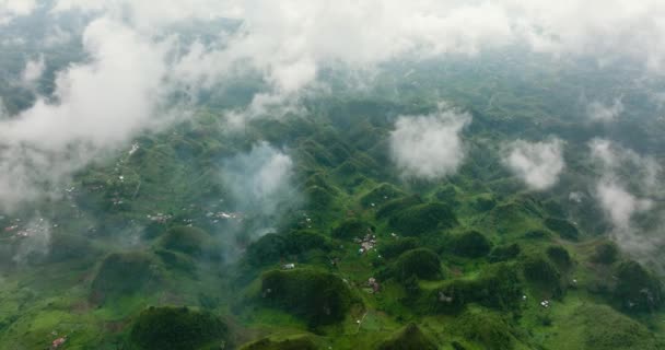 Αεροφωτογραφία Των Πλαγιές Των Βουνών Αειθαλή Βλάστηση Οσμένα Πικ Ορεινό — Αρχείο Βίντεο