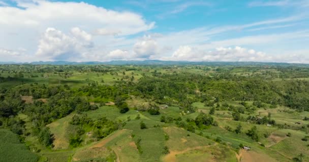Aerial View Farmland Growing Crops Sugar Cane Mountain Valley Negros — Stock videók