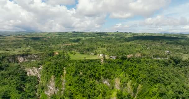 Холмы Горы Зеленой Тропической Растительностью Деревьями Тропиках Клиффтоп Вью Негрос — стоковое видео