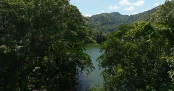Lago Montagna Tra Giungla Foresta Lago Balanan Negros Filippine — Video Stock