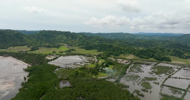 Légi Kilátás Mezőgazdasági Területek Rizsföldek Között Hegyek Negros Fülöp Szigetek — Stock videók