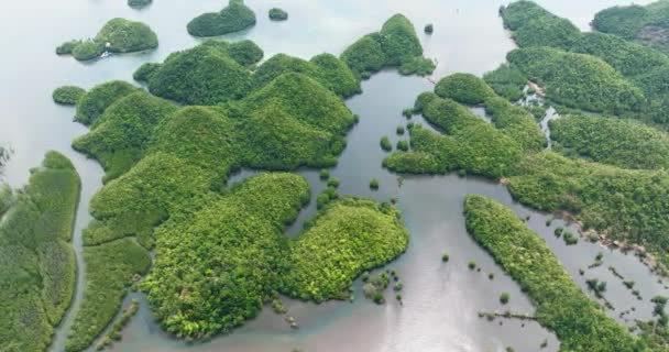Τροπικό Νησί Στον Όρμο Σμήνη Νησιών Λιμνοθάλασσες Sipalay Negros Φιλιππίνες — Αρχείο Βίντεο