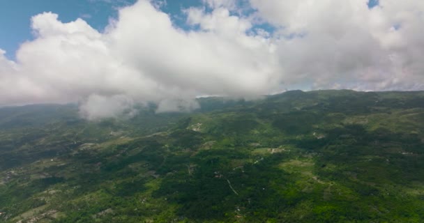 Bovenaanzicht Van Tropisch Berglandschap Met Palmbomen Bos Cebu Eiland Filippijnen — Stockvideo