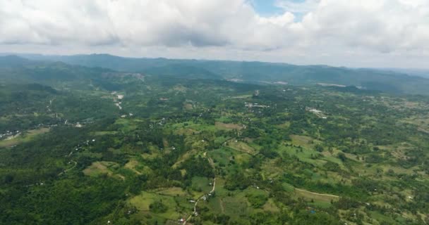 Vista Aerea Terreni Agricoli Montagne Con Foresta Verde Negros Filippine — Video Stock