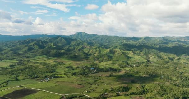 Ackerland Und Berge Mit Grünem Wald Negros Philippinen — Stockvideo