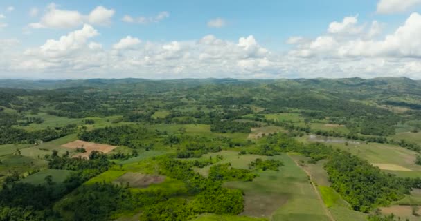 Luchtfoto Van Vallei Met Landbouwgrond Suikerrietplantages Negros Filipijnen — Stockvideo
