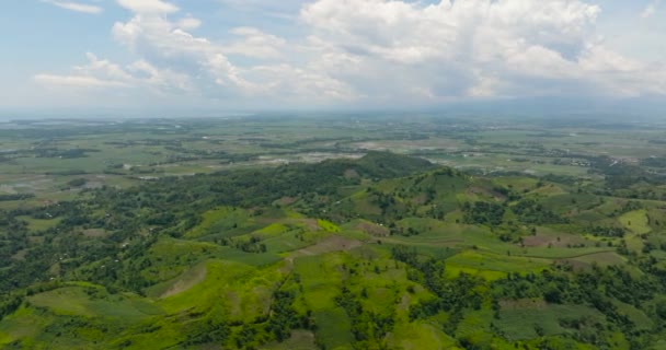 Hegyi Völgy Légi Drónja Termőfölddel Negros Fülöp Szigetek — Stock videók